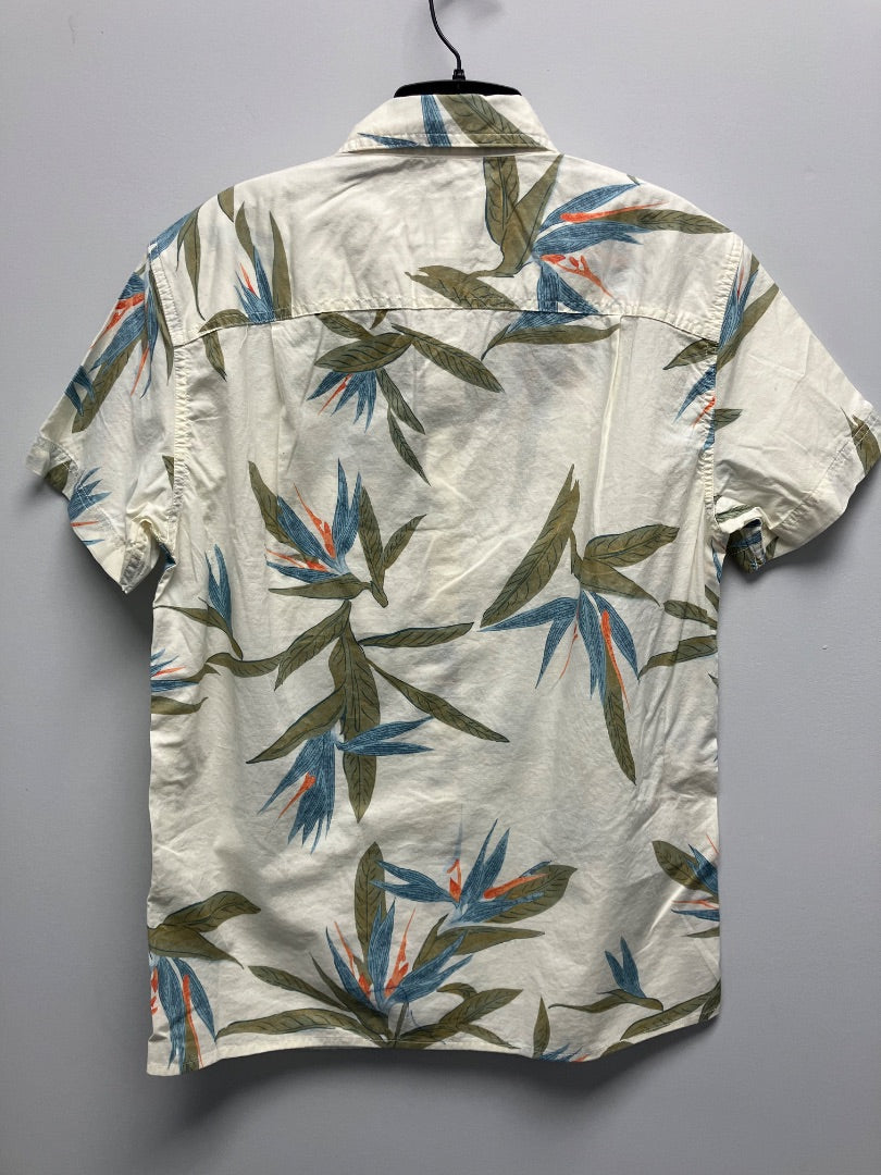american eagle, White+, Top, Small
