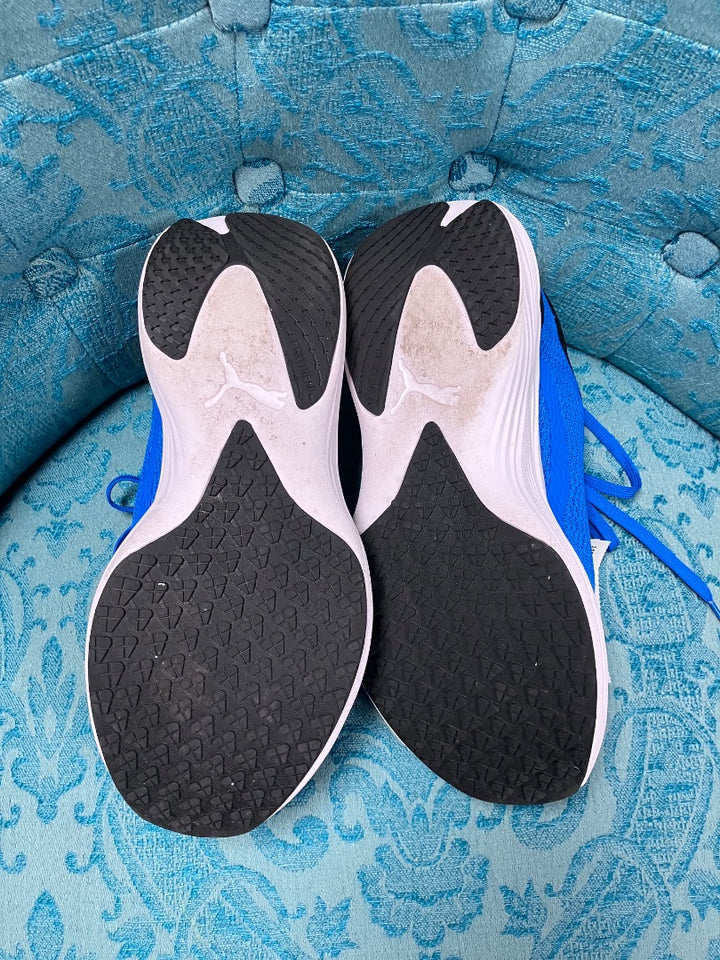 puma, Blue+, Mens-Sneaker, 8.5