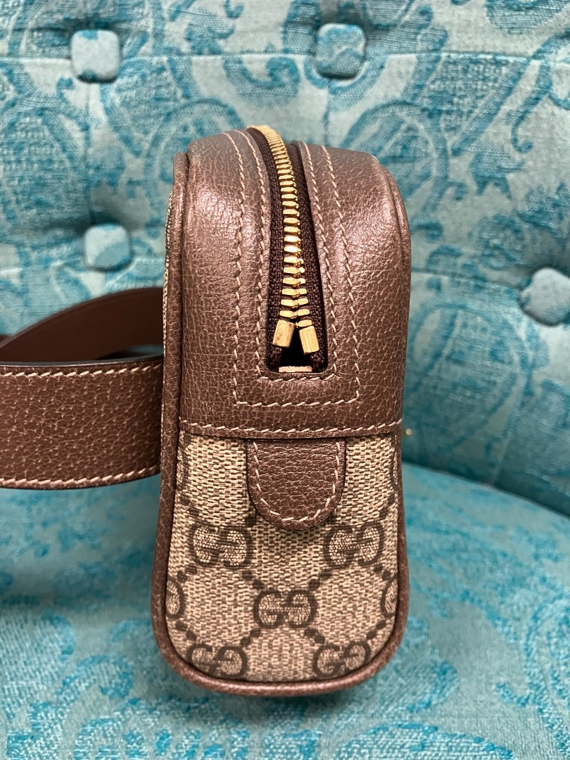 Brown+ Gucci Handbag, Medium