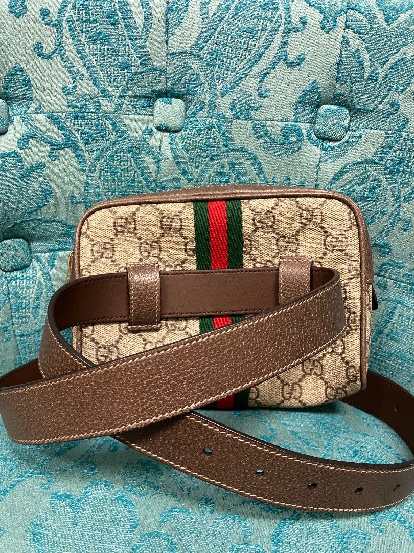 Brown+ Gucci Handbag, Medium