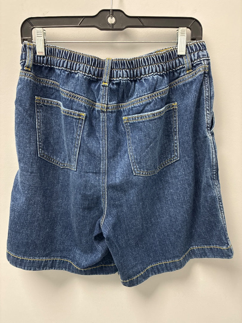 aerie, Blue, shorts, Medium