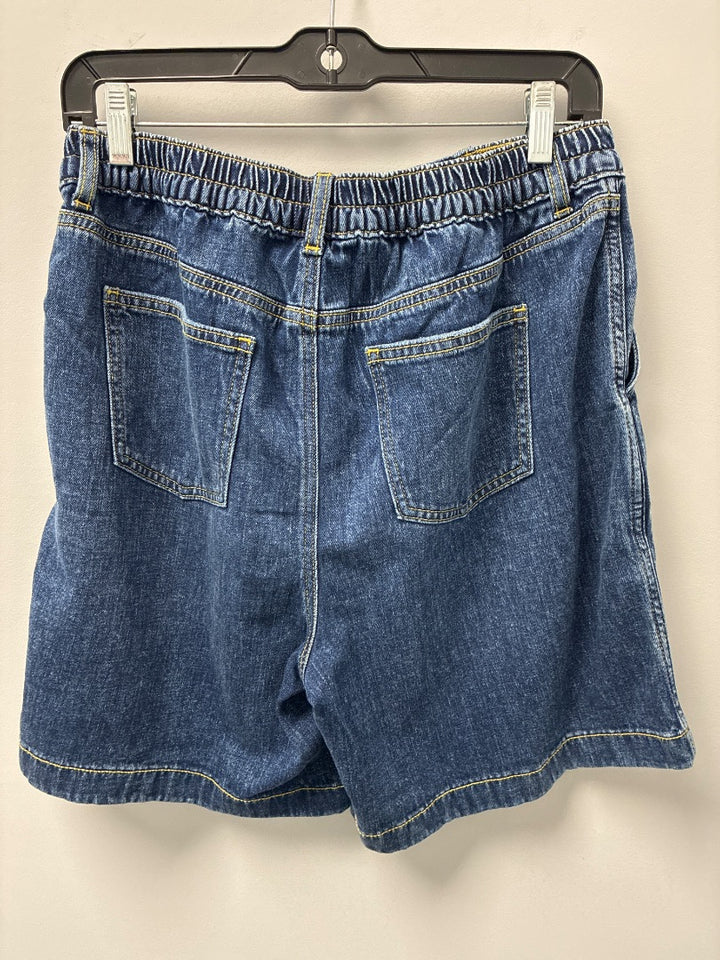 aerie, Blue, shorts, Medium